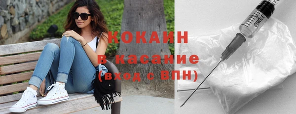 крисы Баксан