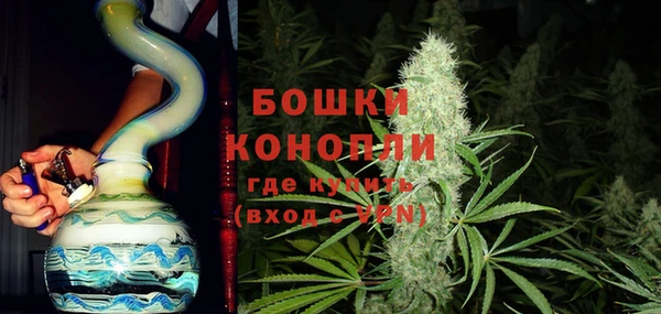 крисы Баксан
