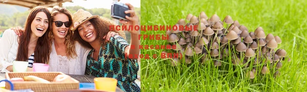 крисы Баксан