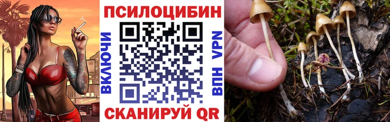 Галлюциногенные грибы GOLDEN TEACHER  Белинский 